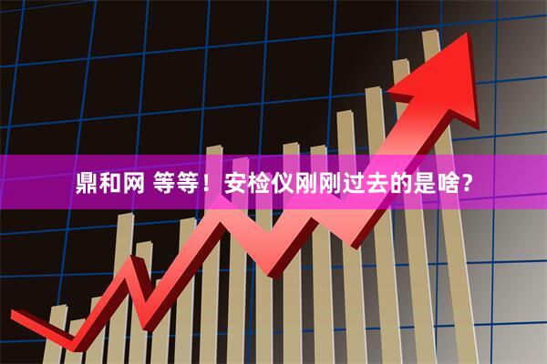 鼎和网 等等！安检仪刚刚过去的是啥？