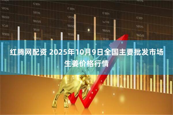 红腾网配资 2025年10月9日全国主要批发市场生姜价格行情