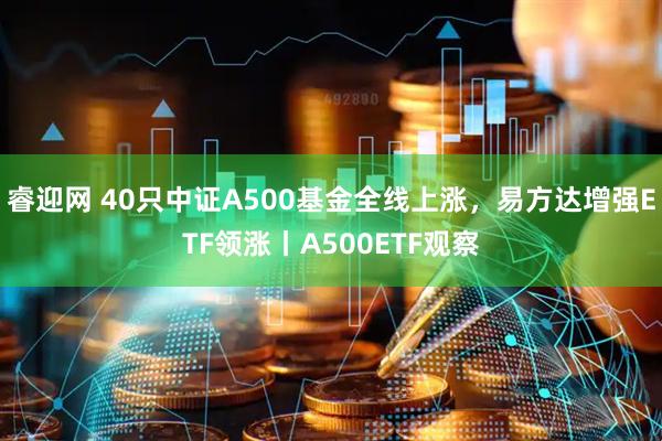 睿迎网 40只中证A500基金全线上涨，易方达增强ETF领涨丨A500ETF观察